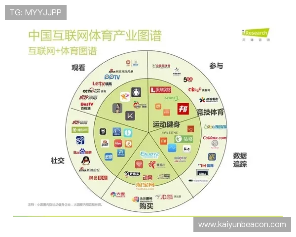 云体育行业的商业模式创新与盈利模式分析与实践建议