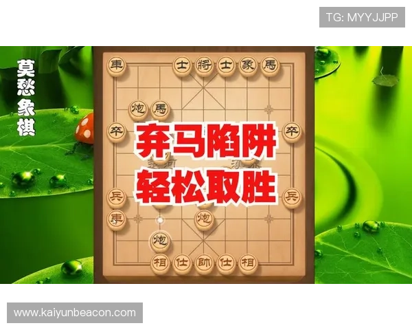 开云tyy游戏攻略大全，详细介绍角色技能、装备搭配及提升技巧助你轻松取胜